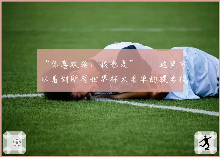 “你喜欢狗，我也是”——这里可以看到所有世界杯大名单的提名视频