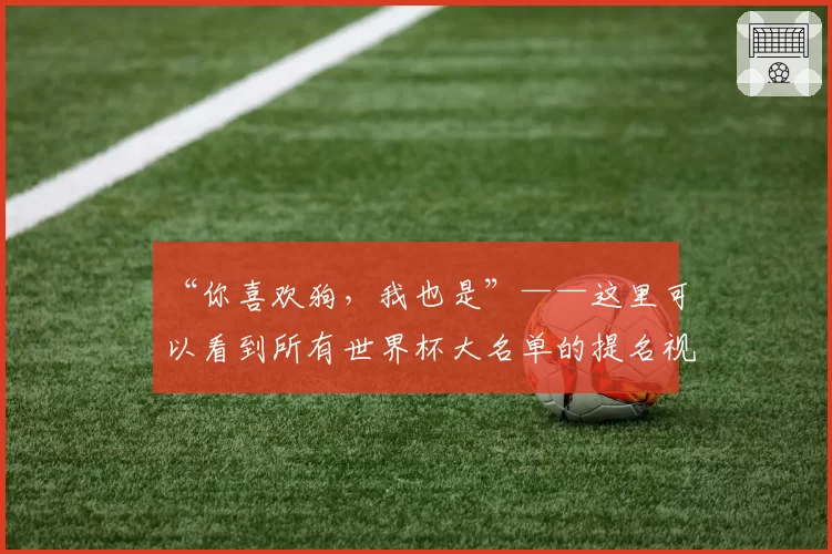 “你喜欢狗，我也是”——这里可以看到所有世界杯大名单的提名视频