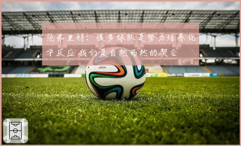 范弗里特：很多球队是努力培养化学反应 我们是自然而然的契合